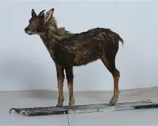 九游体育-9俊哛j@]	柎74羚j扛D#槬辏0d